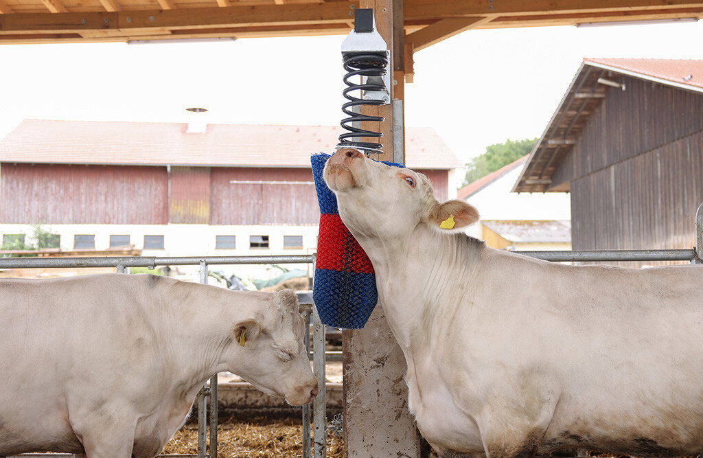 Kratzbürste HAPPYCOW FlexiSwing, Kuhbürste