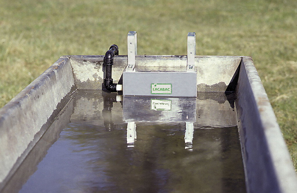 Schwimmer, Lacabac