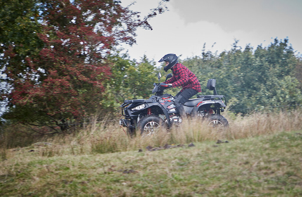Linhai Promax Quad 500-2D EFI 4x4, T3b Straßenzulassung