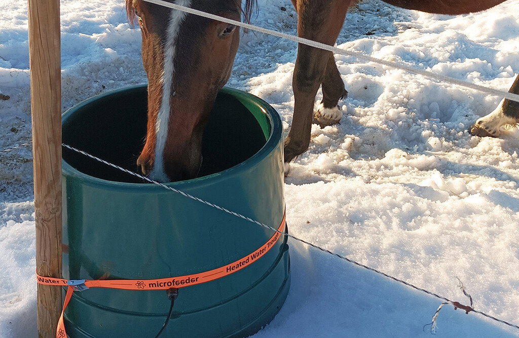 Weidetränke frostsicher 65 Liter, mit Thermostat | MicroFeeder