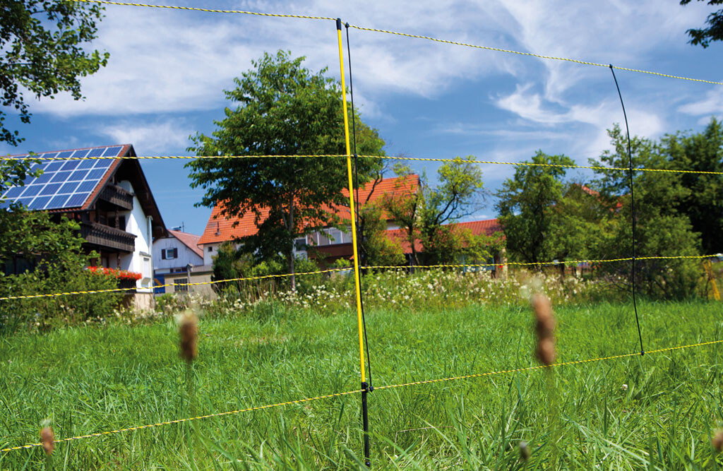 Schafzaun, Easynet 