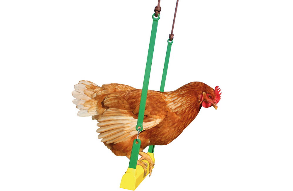 Hühnerschaukel, 41cm Stange