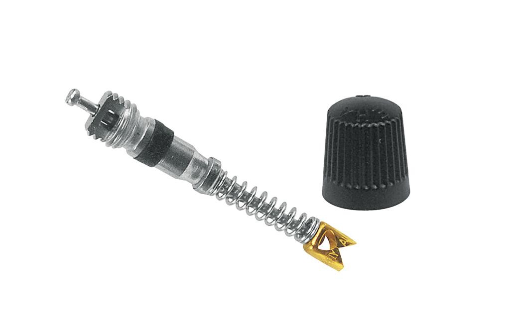 Ventilkegel und Ventilkappe, Typ wählbar