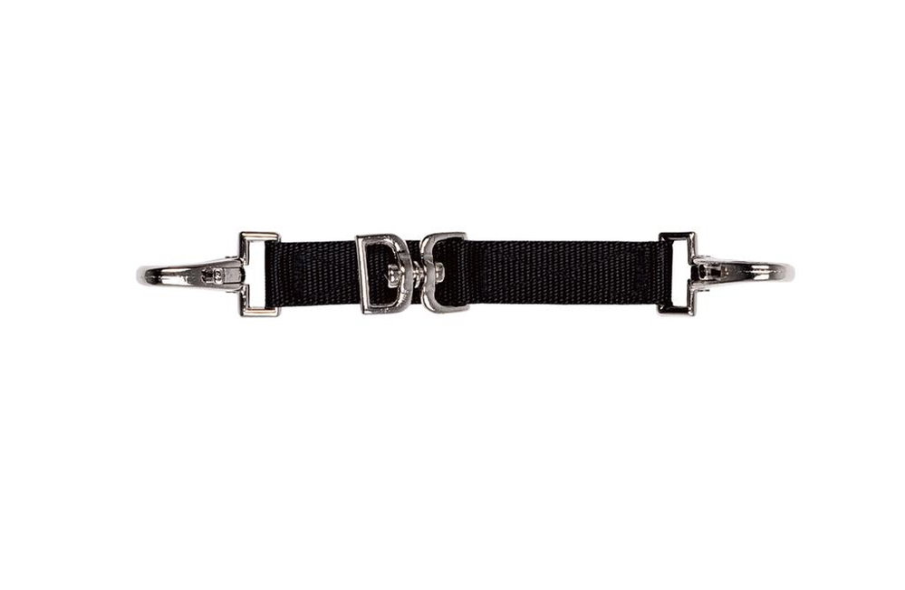 Longierbrille