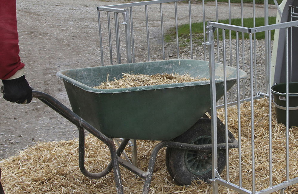 Kälberiglu CalfHouse Master Plus mit leichter Umzäunung