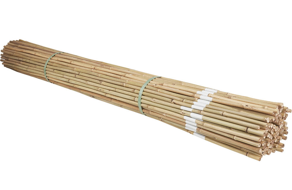 100x Markierungspfähle aus Bambus, 180cm