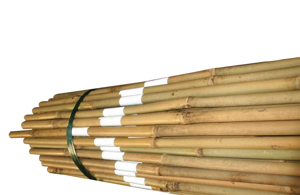 100x Markierungspfähle aus Bambus, 180cm