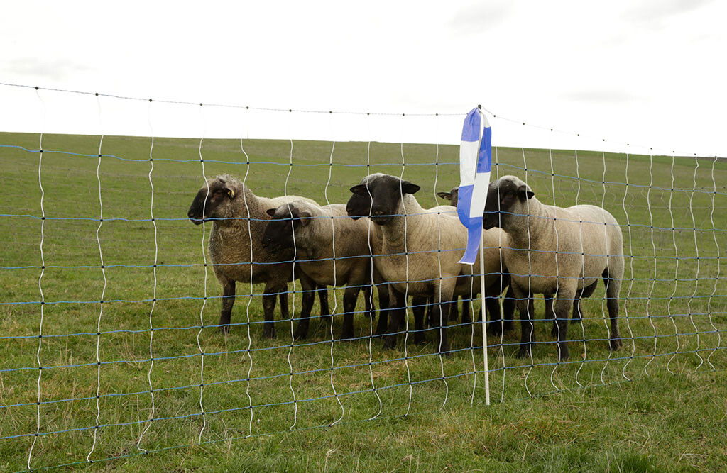 50m Wolfschutzzaun 122cm, 14x Pfähle, elektrifizierbar