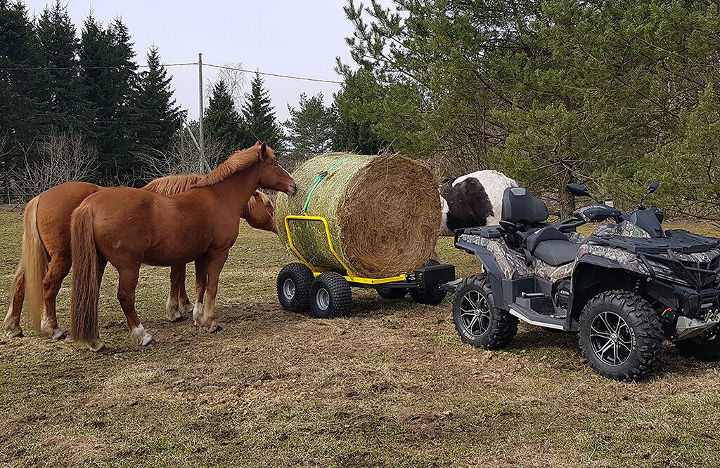 Ballenanhänger mit elektrischer Winde, 1000kg