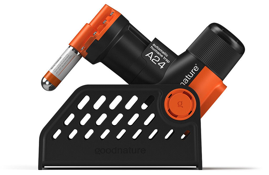 Goodnature A24 Rattenfalle, smart