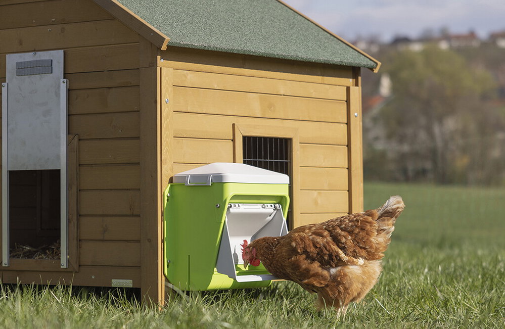 Automatischer Futterautomat für Hühner - SmartCoop