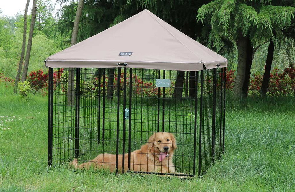 Mobiler Hundeauslauf