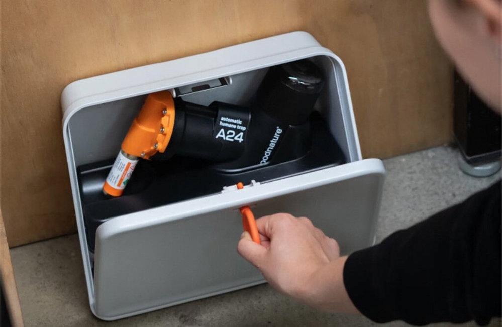 Goodnature A24 Rattenfalle, professionell