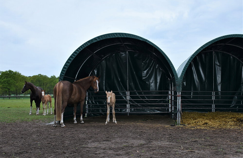 Windschutznetz-Set 300 g/m², für Weidezelt 4x4 m
