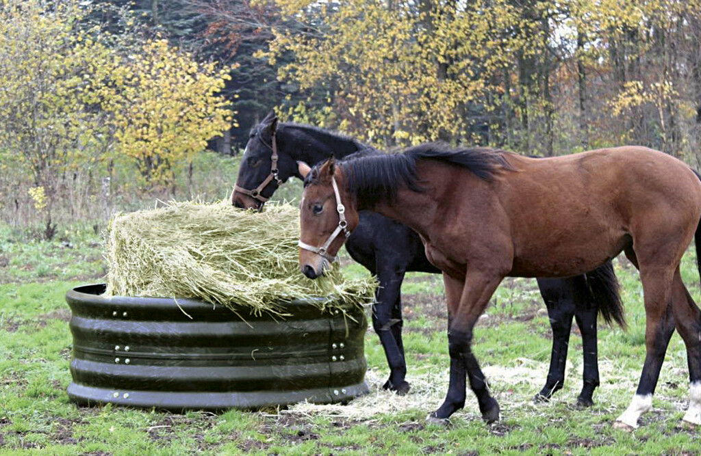 Futterring rund 180 cm, Rundraufe aus Kunststoff