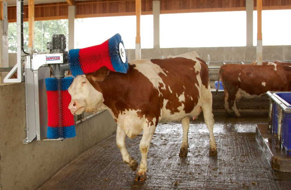 Kuhputzmaschine HAPPYCOW Duo