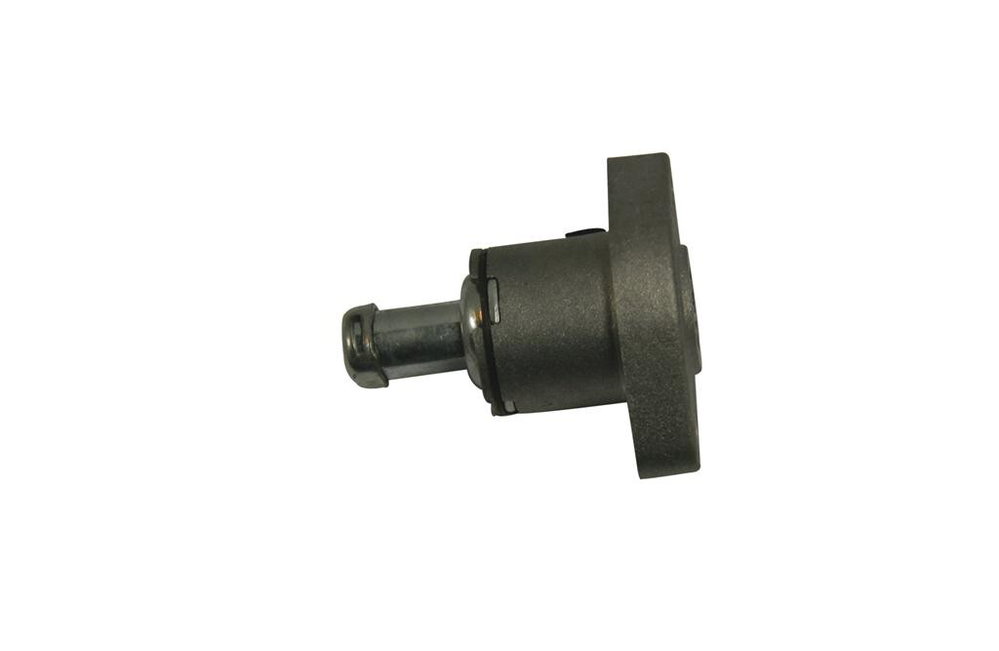 Kettenspanner, Steuerkette