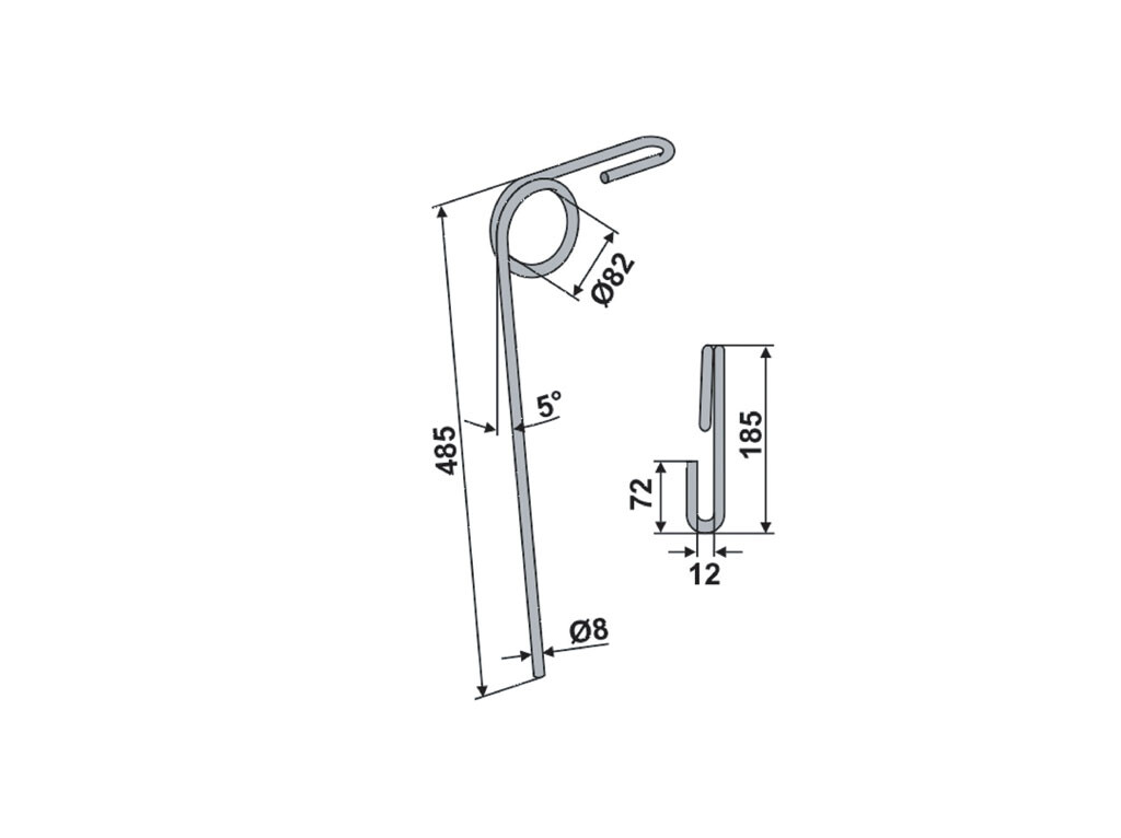 Fiona Nacheggenzinken