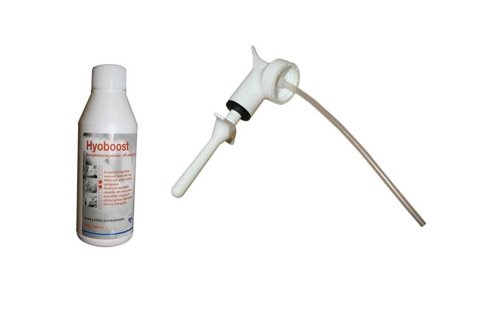 Ergänzungsfuttermittel für Ferkel "Hyoboost", 200ml