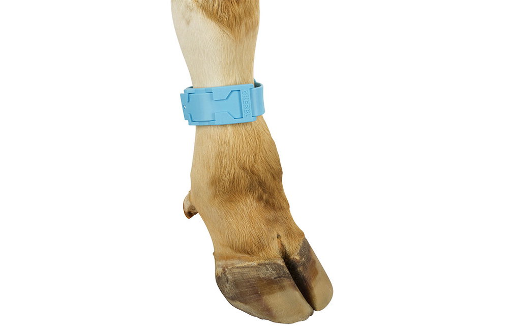 Fessel-Markierungsband, Blau