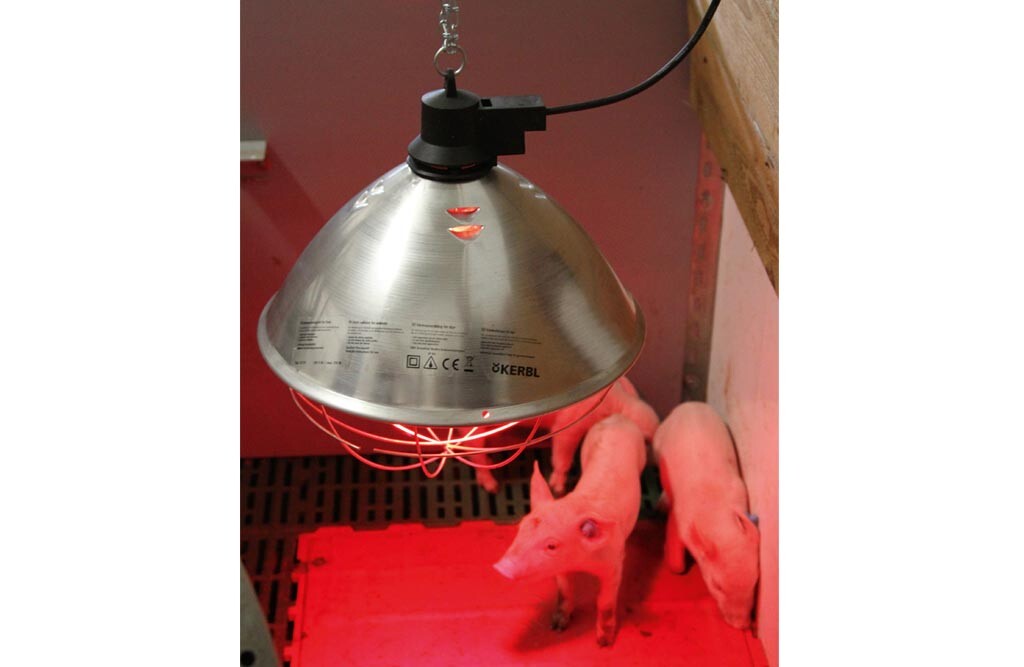 Solomi Geflügel-Wärmelampe – 100-300W, 3-Stufen Produktbild-Vorschau 2