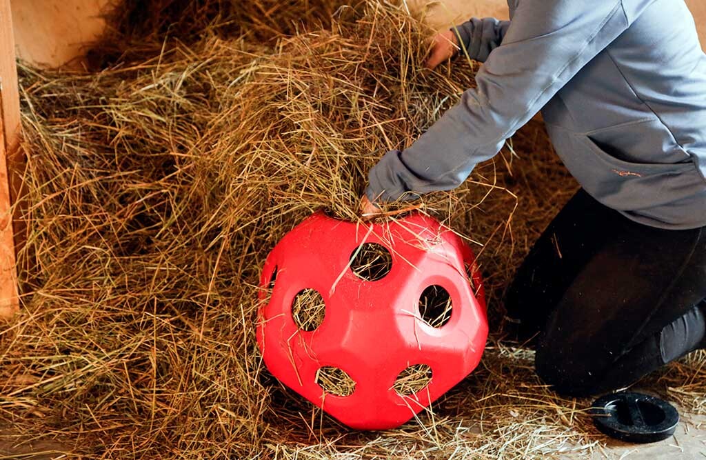 Futterspielball, rot
