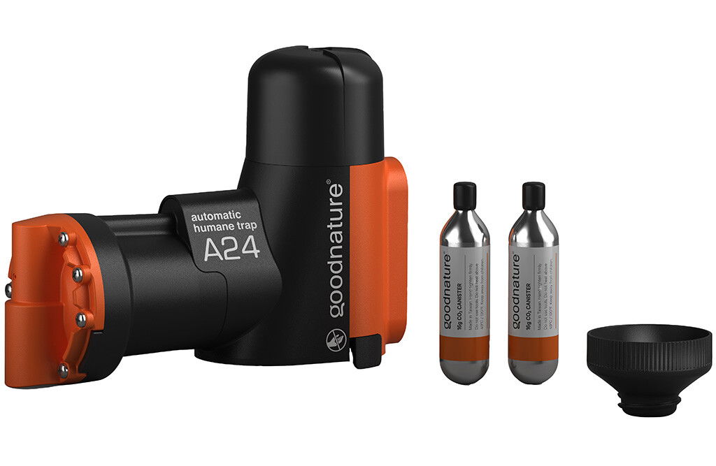 Goodnature A24 Rattenfalle, basic