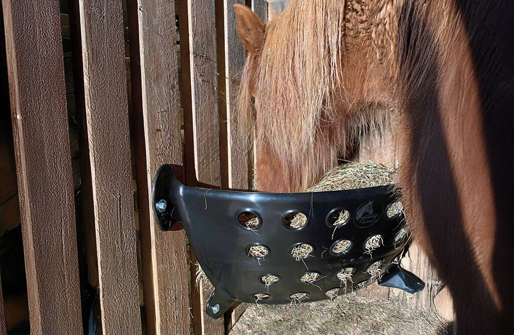 Eck-Heuraufe 115 Liter für Pferde & Ponys | OK Plast