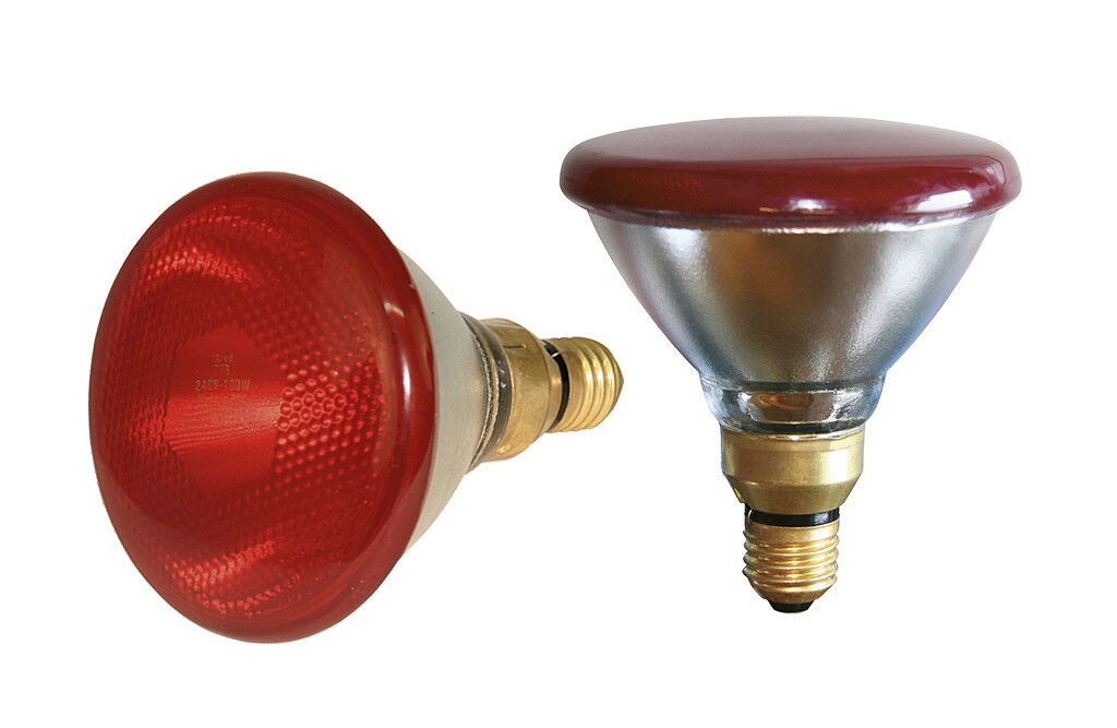 Infrarot-Sparlampe, 100 W