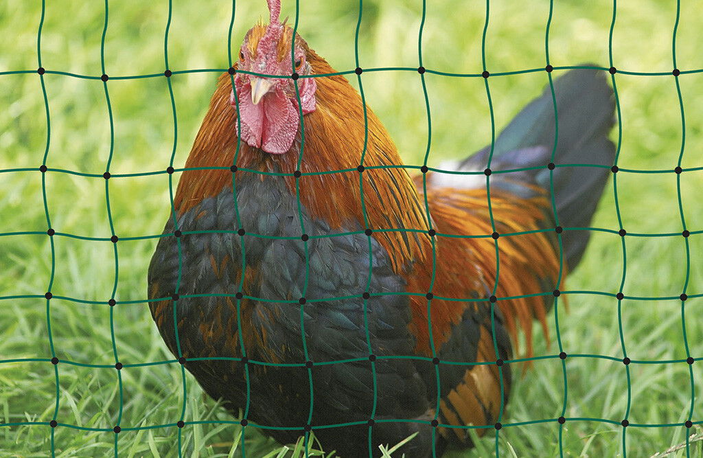 Geflügelnetz 106cm, elektrifizierbar, Länge wählbar
