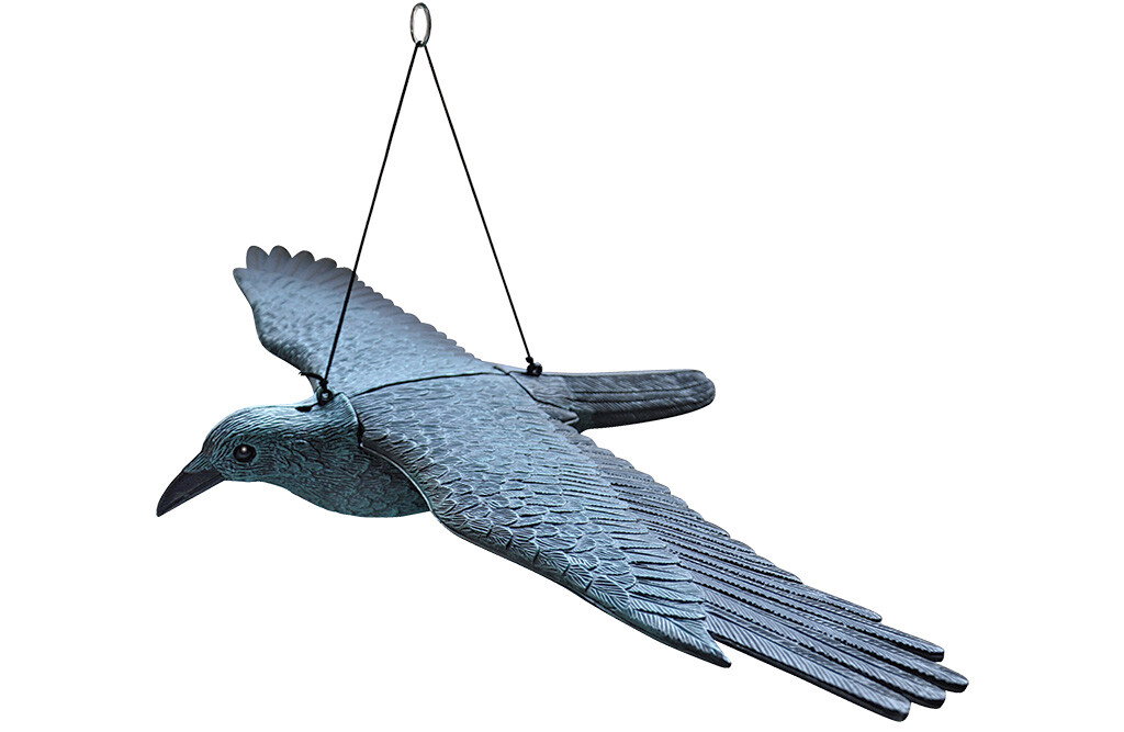 Vogelscheuche, Greifvogel klein