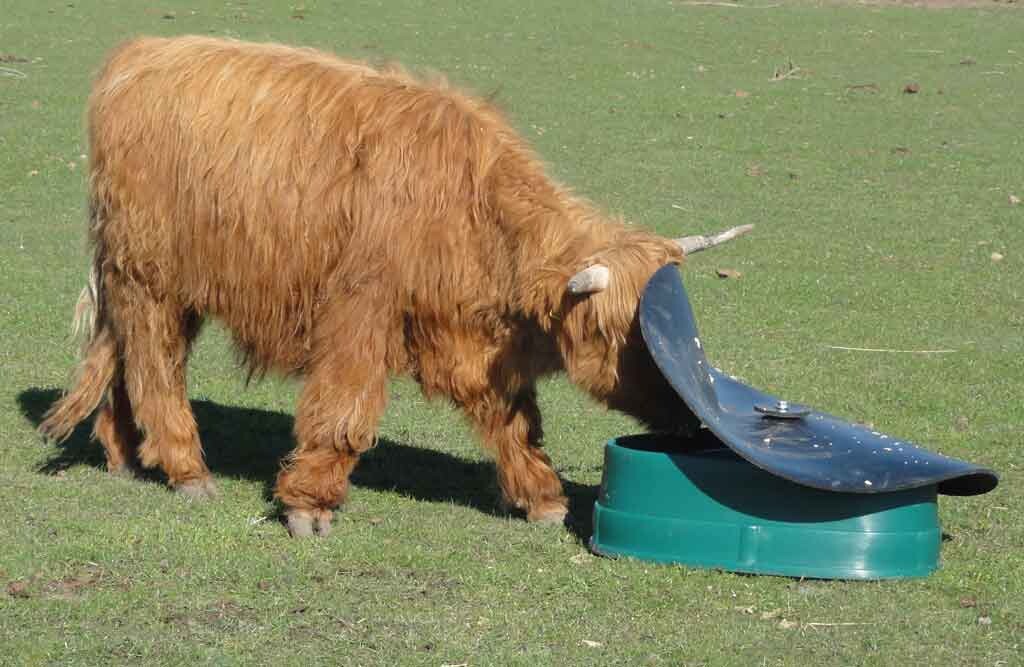 Mineralfutterautomat