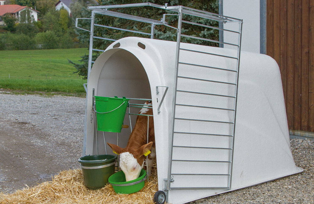 Kälberhütte 