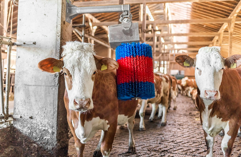 Kuhputzmaschine HAPPYCOW MidiSwing