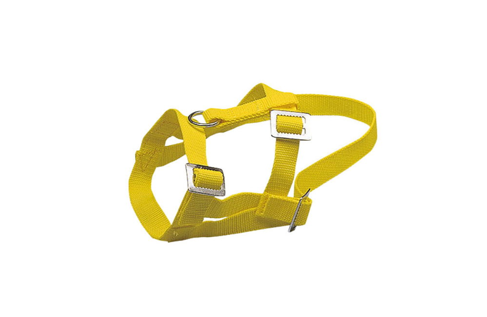 Kopfhalter für Schafe und Widder 