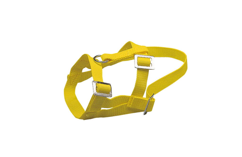 Kopfhalter für Schafe und Widder 