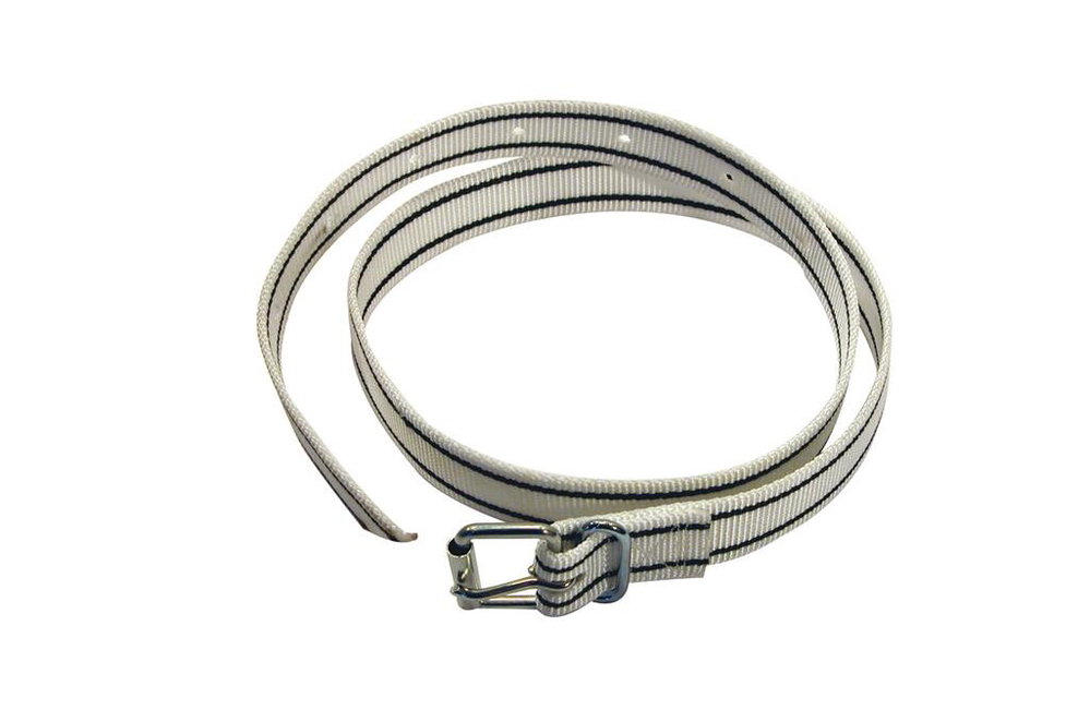 Markierungshalsband