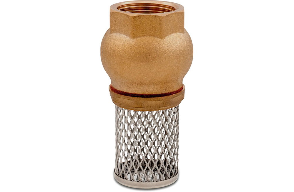 Bodenventil, 2" Innengewinde