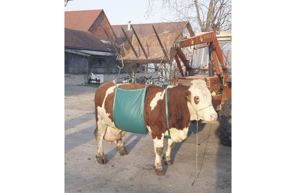 Kuh-Lift, Modell Daisy