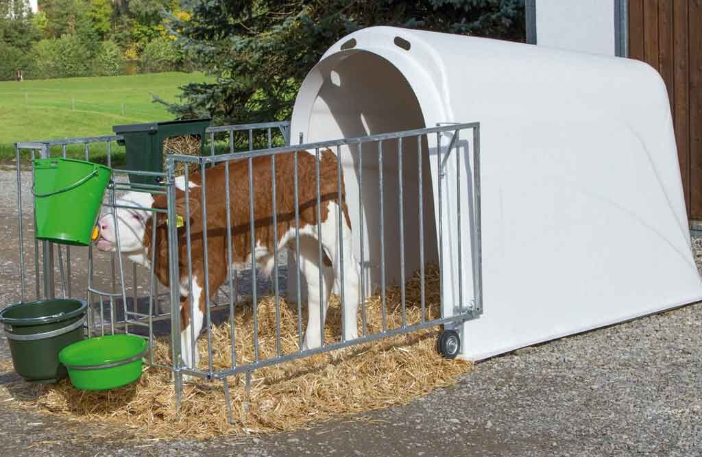 Kälberiglu CalfHouse Master Plus mit leichter Umzäunung
