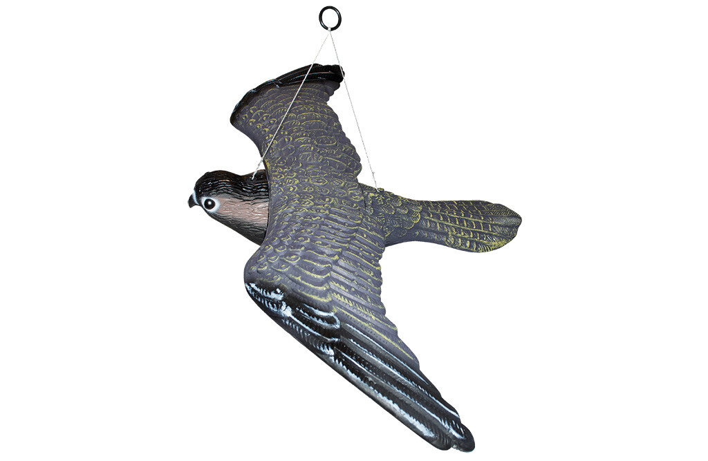 Vogelscheuche, Greifvogel klein