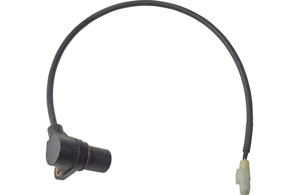 Drehzahlsensor