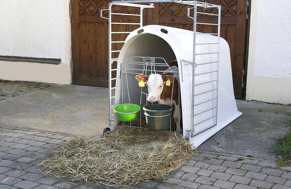 Kälberiglu CalfHouse Master Plus mit leichter Umzäunung