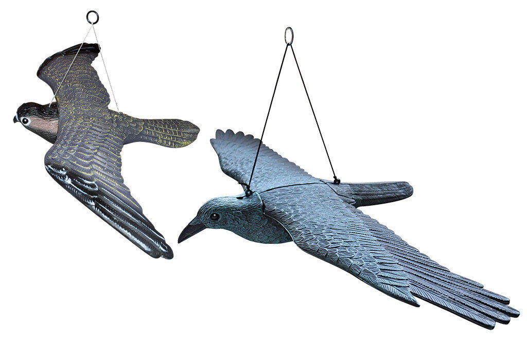 Vogelscheuche, Greifvogel