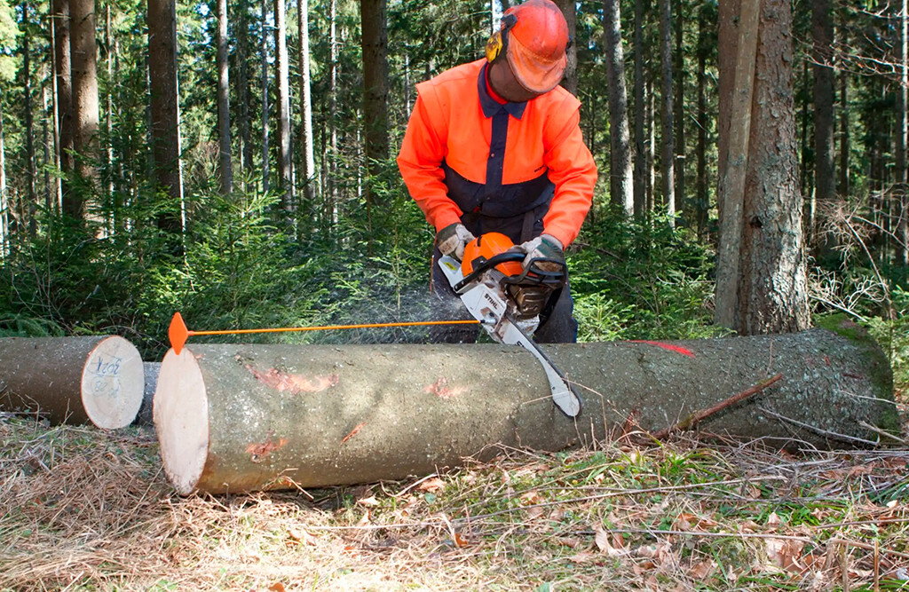 Nestle Kolibri Längenmessgerät, 100 cm