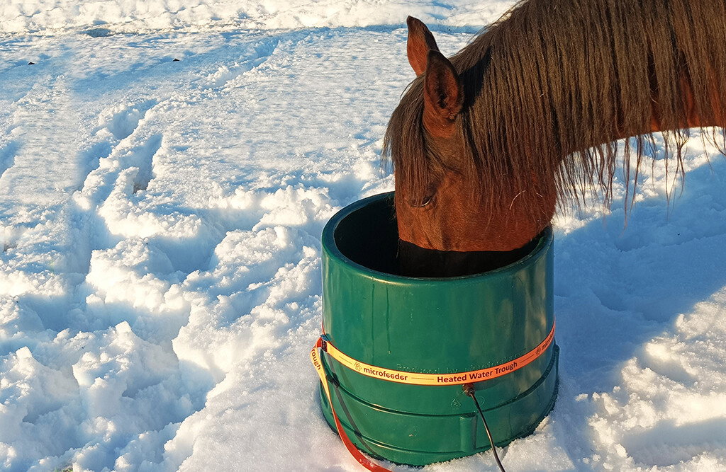 Weidetränke frostsicher 65 Liter, mit Thermostat | MicroFeeder