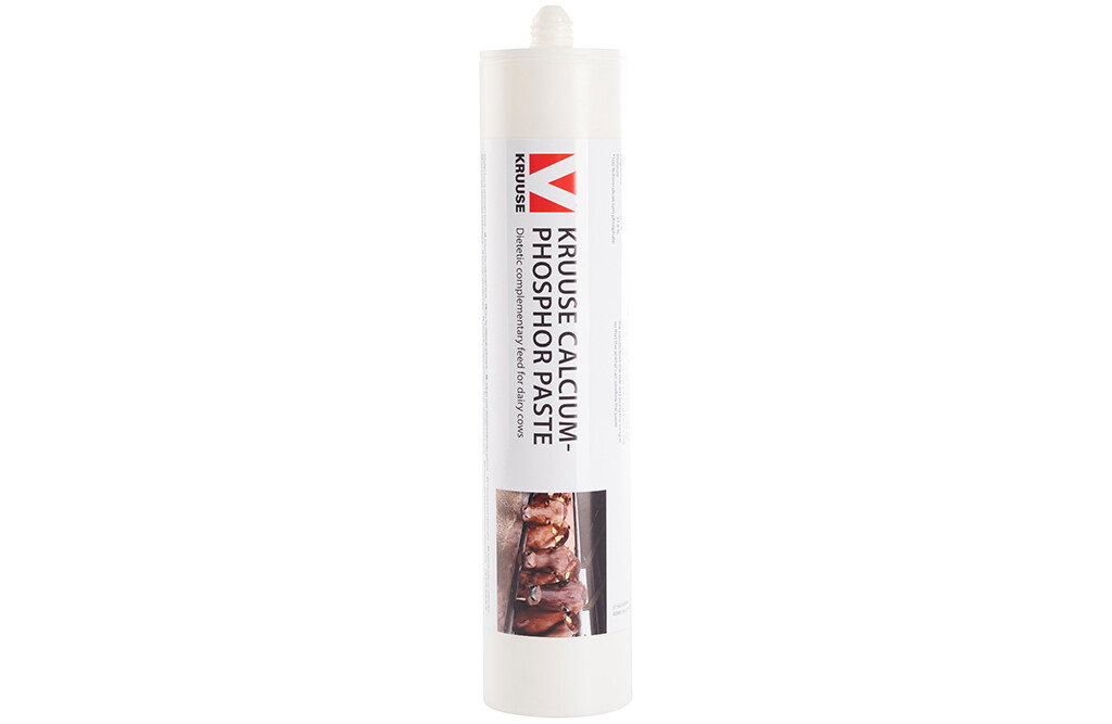 Kruuse Kalziumpaste 4x300 Gramm