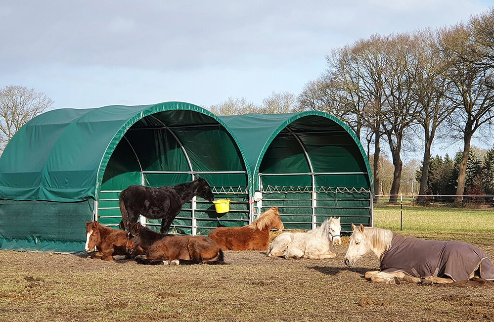 SET: Weidezelt 3x3x2,8m offene Seiten + PVC-Seitenplanen