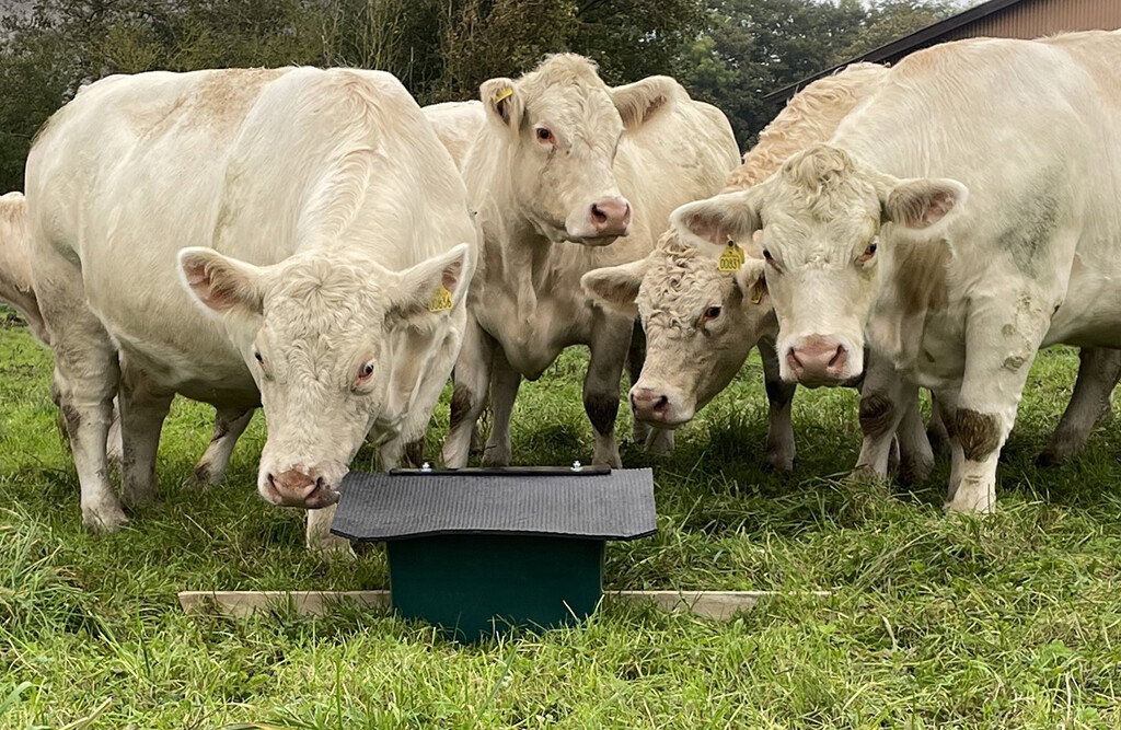 Combifeeder Mineraliendosierer