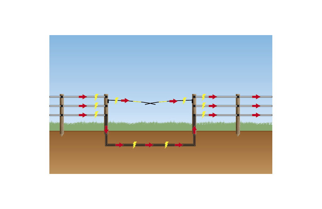 Elektrische Viehschranke 6m